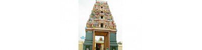 250. திருவிற்கோலம் (கூவம்)